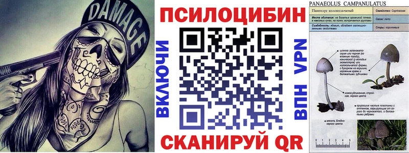 Галлюциногенные грибы мицелий  Калачинск 